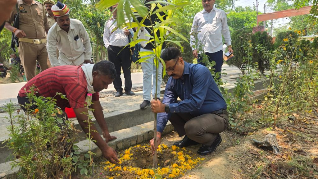 डीएम ने विश्व पर्यावरण दिवस के अवसर पर किया वृक्षारोपण, अधिक से अधिक वृक्षारोपण करने हेतु जनपदवासियों से किया अपील।