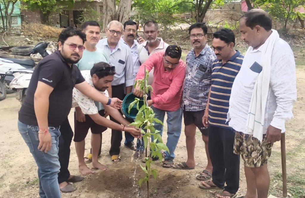 विश्व पर्यावरण दिवस पर भाजपा कार्यकर्ताओं ने किया वृक्षारोपण।