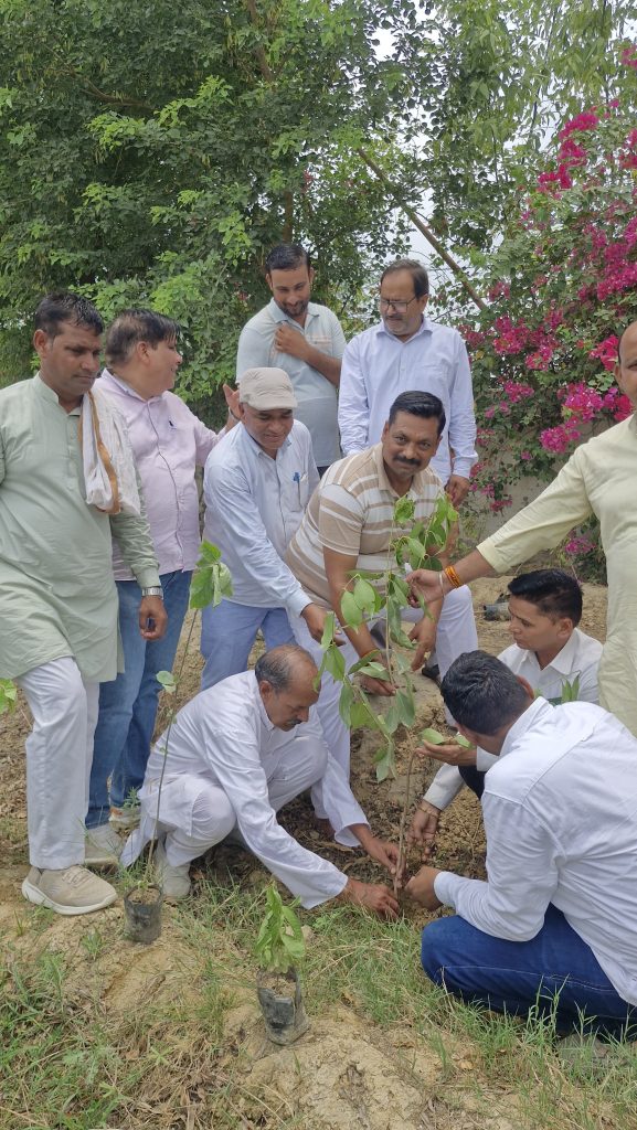 नौहझील में वृक्षारोपण अभियान का शुभारंभ, 1000 पौधों का निःशुल्क वितरण।
