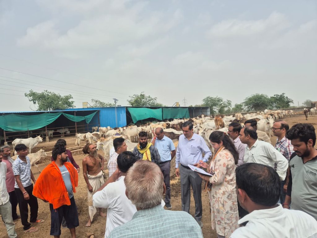 डीएम ने तहसील मांट के विकास खंड नौहझील के अंतर्गत बघर्रा गौशाला का किया औचक निरीक्षण।