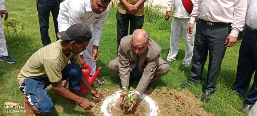 जनपद न्यायाधीश ने न्यायालय परिसर में किया पौधरोपण, ‘एक पेड़ मां के नाम’ अभियान को दी गति।