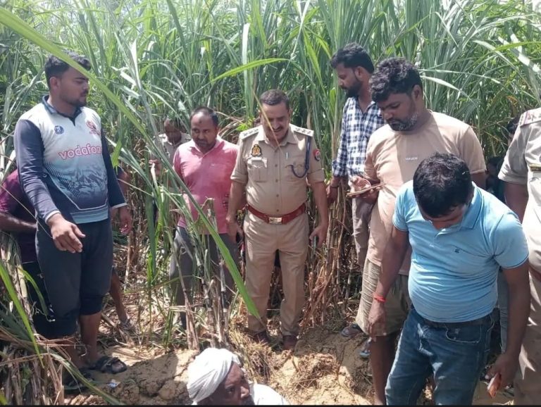 गन्ने के खेत में मिलीं दो संदिग्ध कब्रें, मचा हड़कंप।