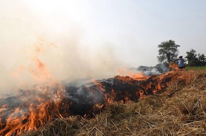पराली जलाने पर लगेगा जुर्माना, दोबारा उल्लंघन पर होगी सख्त कार्रवाई